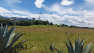 7685630 108375381635996482794117075609180193833169701603950223908700987858628689735582