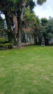 7787922 78424093943651397233493372425436780508646725525004417121130057139235284057413