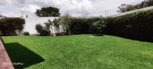 7793270 114482831788827424255894606021235170218703241854167266801784247915371190323393