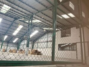 7812138 31652527053042163756077478136015778384632324982195904216224949270584600317178