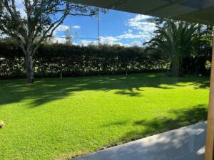 7812300 87730690324294937550450038065068633740196694689044118034496151529562354229844