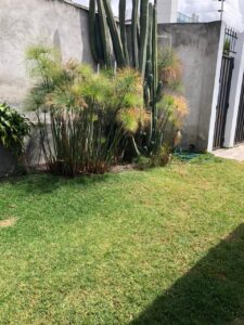 7871342 112434289829256761584498866995127139000087802014977818787049383933066038962999